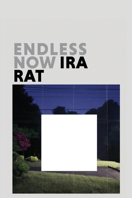 Endless Now (Deluxe Edition) B0DT7KTR9F Book Cover
