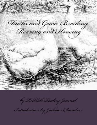Ducks and Geese: Breeding, Rearing and Housing 153969612X Book Cover