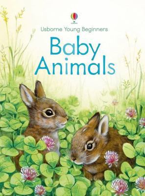Baby Animals (Young Beginners) 0794535593 Book Cover