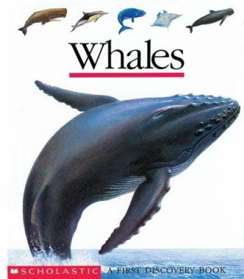 First Discovery Whales 0545001404 Book Cover