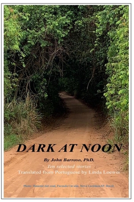 Dark at Noon 0578253542 Book Cover