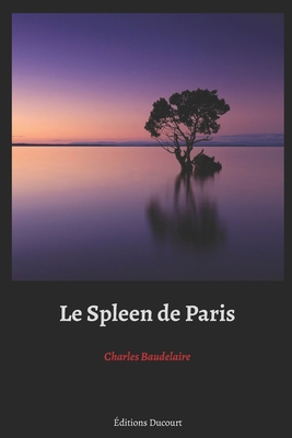 Le Spleen de Paris [French] B089M43ZVK Book Cover