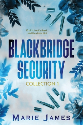 Blackbridge Security Collection 1 B0CZSD5DKQ Book Cover