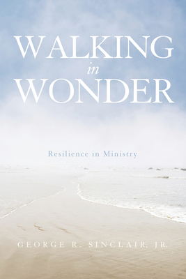 Walking in Wonder: Resilience in Ministry 1498222242 Book Cover