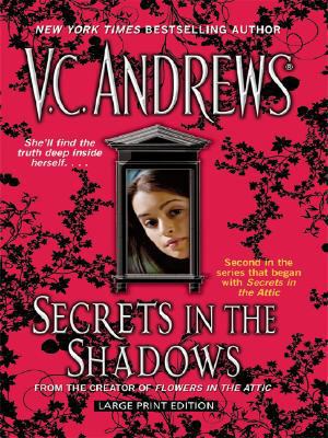 Secrets in the Shadows [Large Print] 1410405729 Book Cover