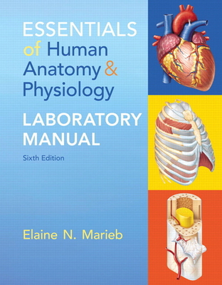 Essentials of Human Anatomy & Physiology Labora... 0321947916 Book Cover