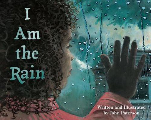 I Am the Rain 158469615X Book Cover