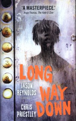 Long Way Down 057133511X Book Cover