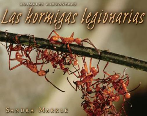 Las hormigas legionarias (Army Ants) (Animales ... [Spanish] 0822577348 Book Cover