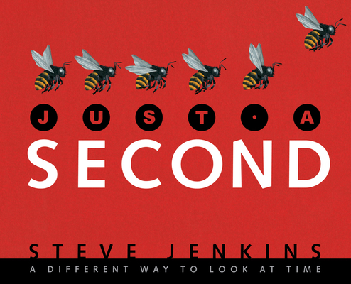 Just a Second: A Different Way to Look at Time 0618708960 Book Cover