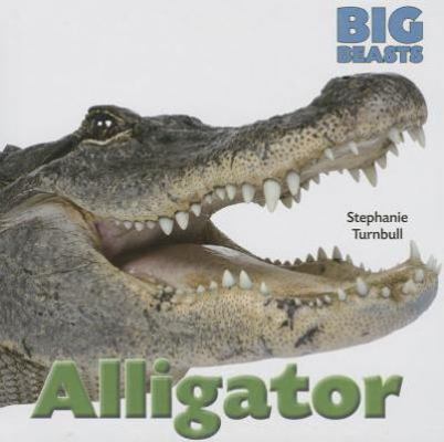 Alligator 1599208318 Book Cover