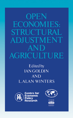 Open Economies 0521420563 Book Cover