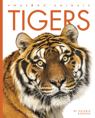 Tigers 1640265538 Book Cover