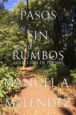 Pasos Sin Rumbos [Spanish] B0B3FGKGQN Book Cover