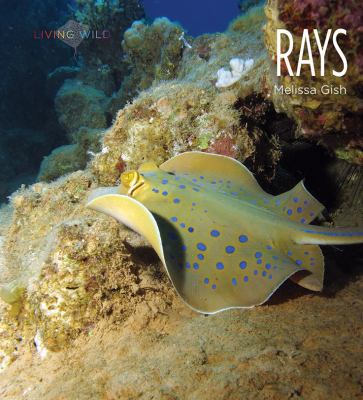 Rays 1628323043 Book Cover