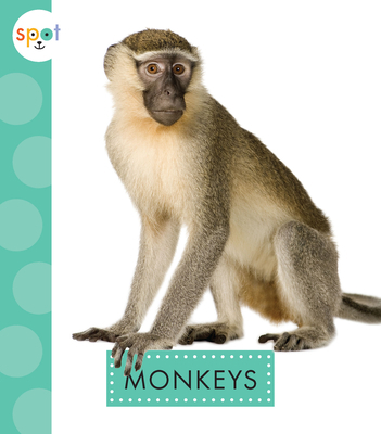 Monkeys 1645492613 Book Cover