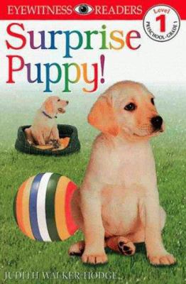 DK Readers: Surprise Puppy (Level 1: Beginning ... 0789436248 Book Cover