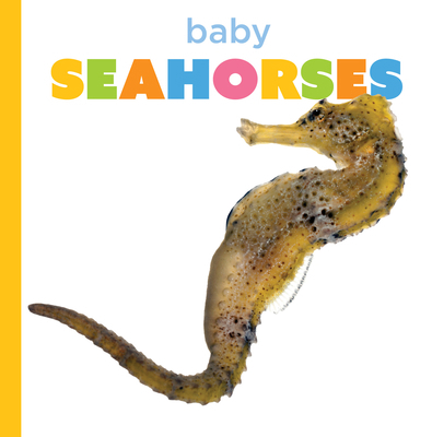 Baby Seahorses B0GSSD71LW Book Cover