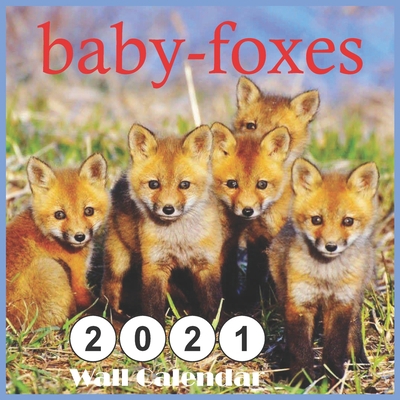 2021 baby-foxes: 2021 Wall & Office Calendar, 12 Month Calendar
