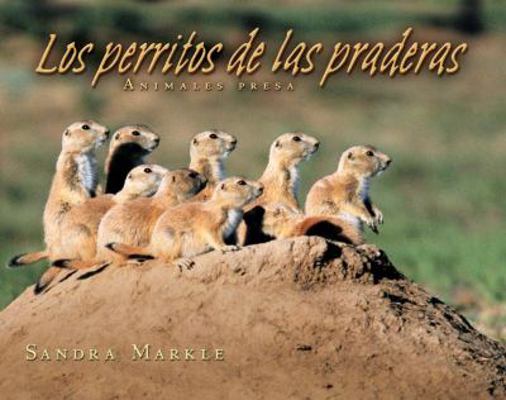 Los Perritos de las Praderas / Prairie Dogs (An... [Spanish] 0761339019 Book Cover