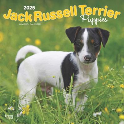 Jack Russell Terrier Puppies 2025 12 X 24 Inch ... 1975477227 Book Cover