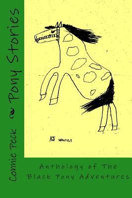 Pony Stories: Anthology of The Black Pony Adven... 0692218386 Book Cover