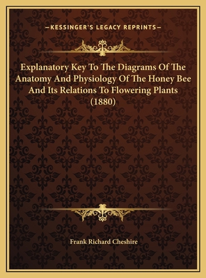 Explanatory Key To The Diagrams Of The Anatomy ... 1169389678 Book Cover