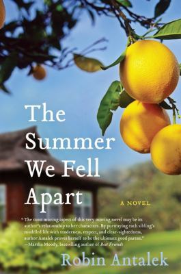 The Summer We Fell Apart 0061782165 Book Cover