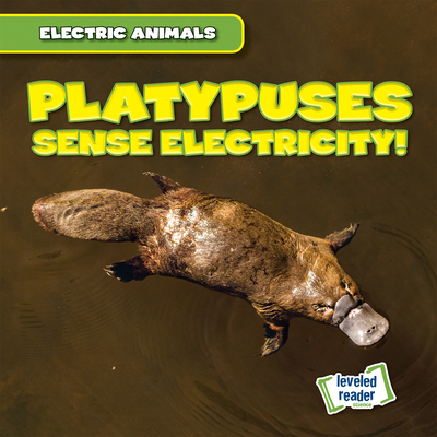 Platypuses Sense Electricity! 1538292998 Book Cover