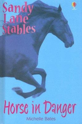 Horse in Danger 1580865798 Book Cover