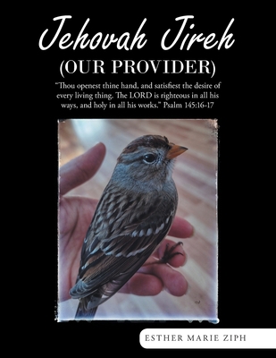 Jehovah Jireh (Our Provider) 1664264795 Book Cover