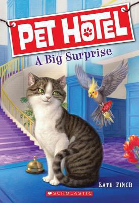 A Big Surprise 0545501822 Book Cover