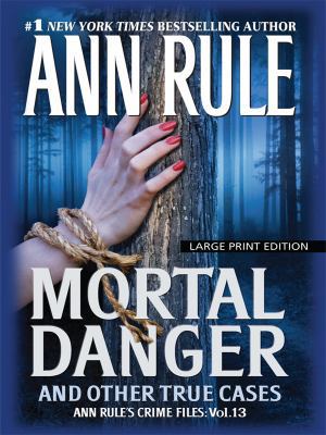 Mortal Danger and Other True Cases [Large Print] 1594132933 Book Cover