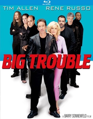 Big Trouble            Book Cover