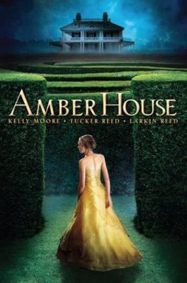 Amber House 0545484138 Book Cover