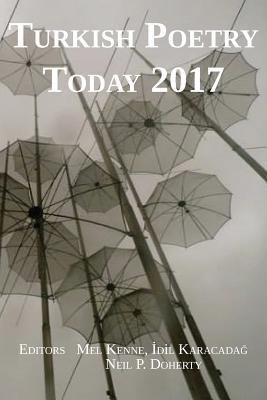 Turkish Poetry Today 2017 1910346217 Book Cover