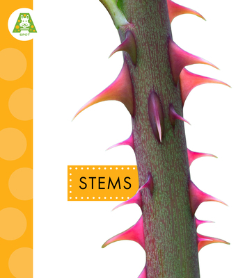 Stems B0H8ZSW5VT Book Cover