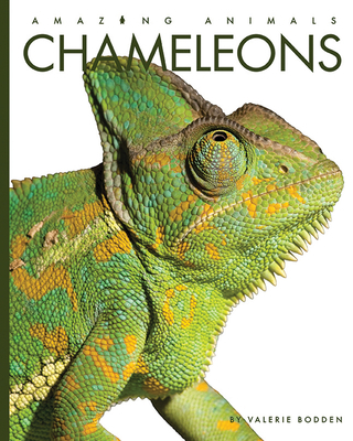 Chameleons 1682770605 Book Cover