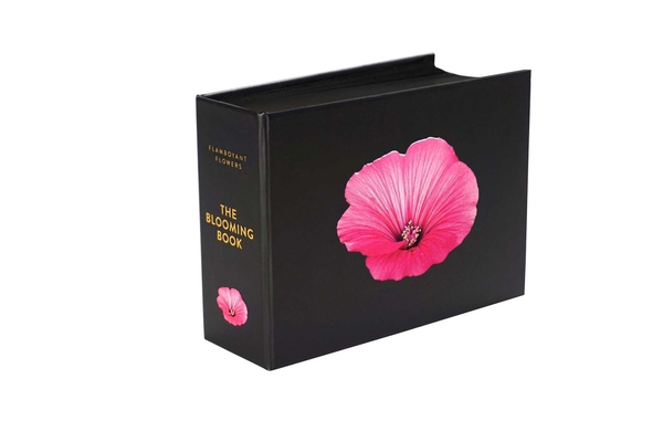 The Blooming Book: Flamboyant Flowers 3949070133 Book Cover