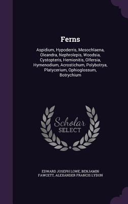 Ferns: Aspidium, Hypoderris, Mesochlaena, Olean... 1340777037 Book Cover
