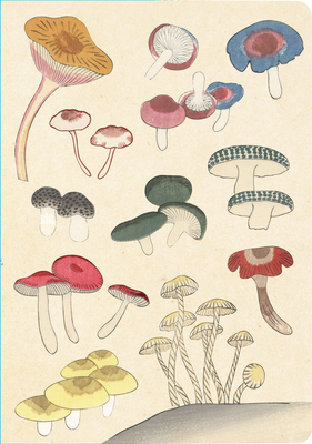 Healing Mushrooms Lined Paperback Journal: Blan... 0804855668 Book Cover