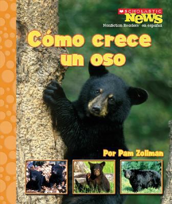 Como Crece Un Oso = A Bear Cub Grows Up [Spanish] 0531207048 Book Cover