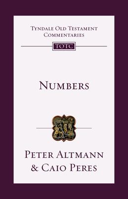 Numbers: An Introduction and Commentary Volume 4 1514013657 Book Cover