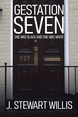 Gestation Seven: One Was Black and One Was White 1960675729 Book Cover