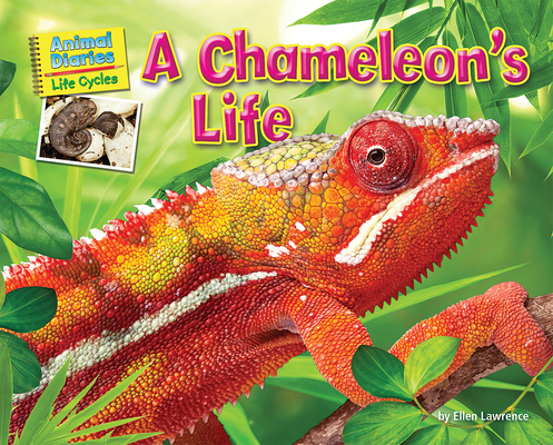 A Chameleon's Life 1642807338 Book Cover