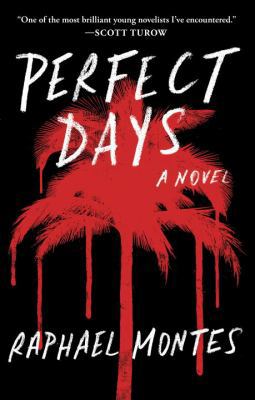 Perfect Days: A Novel 0143193627 Book Cover