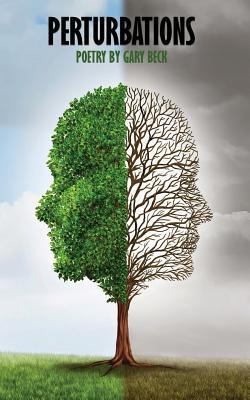 Perturbations 1941058701 Book Cover