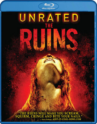 The Ruins Book Cover