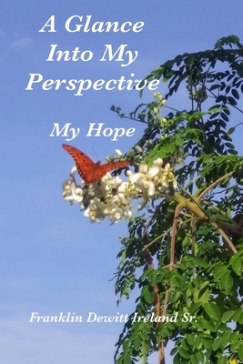 A Glance Into My Perspective: My Hope B08GB4BD4B Book Cover