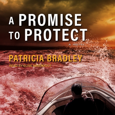 A Promise to Protect 1665277688 Book Cover